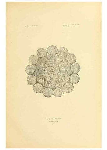 Reproducción/Reproduction 30379510034: Art in shell of the ancient Americans.. Washington,Govt. Print. Off.,1883.