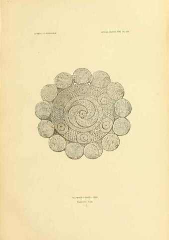Reproducción/Reproduction 30379510034: Art in shell of the ancient Americans.. Washington,Govt. Print. Off.,1883.