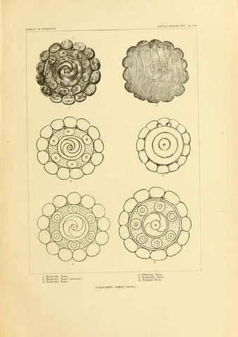 Reproducción/Reproduction 30379513024: Art in shell of the ancient Americans.. Washington,Govt. Print. Off.,1883.