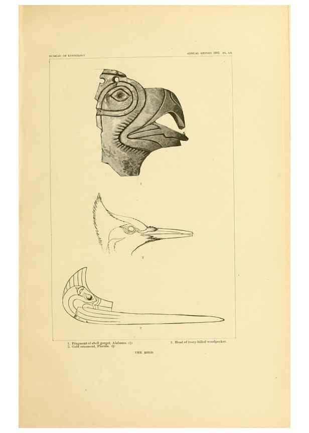 Reproducción/Reproduction 31057333742: Art in shell of the ancient Americans.. Washington,Govt. Print. Off.,1883.
