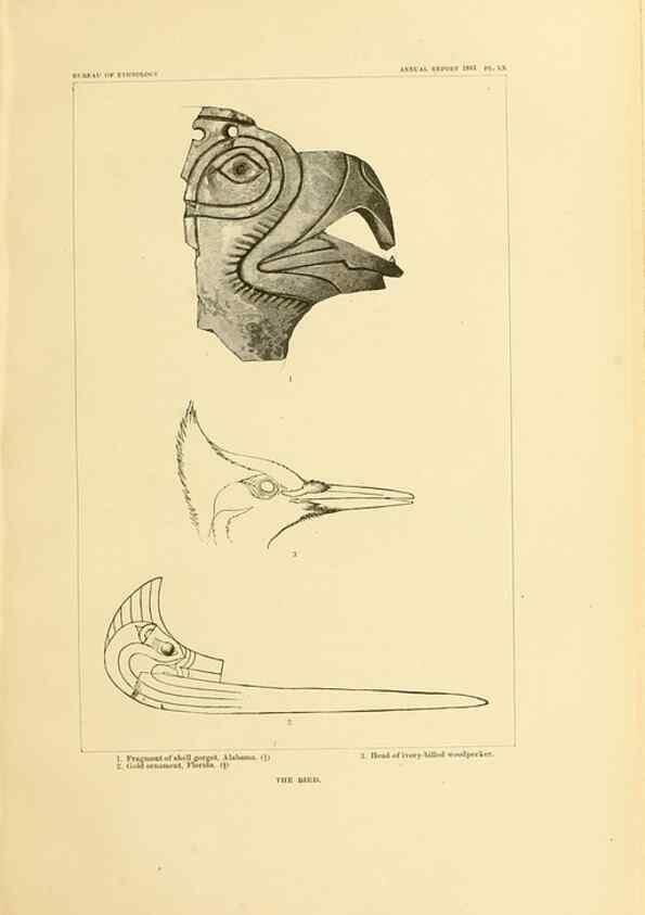 Reproducción/Reproduction 31057333742: Art in shell of the ancient Americans.. Washington,Govt. Print. Off.,1883.