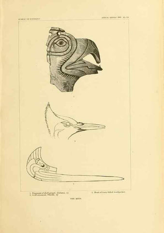 Reproducción/Reproduction 31057333742: Art in shell of the ancient Americans.. Washington,Govt. Print. Off.,1883.