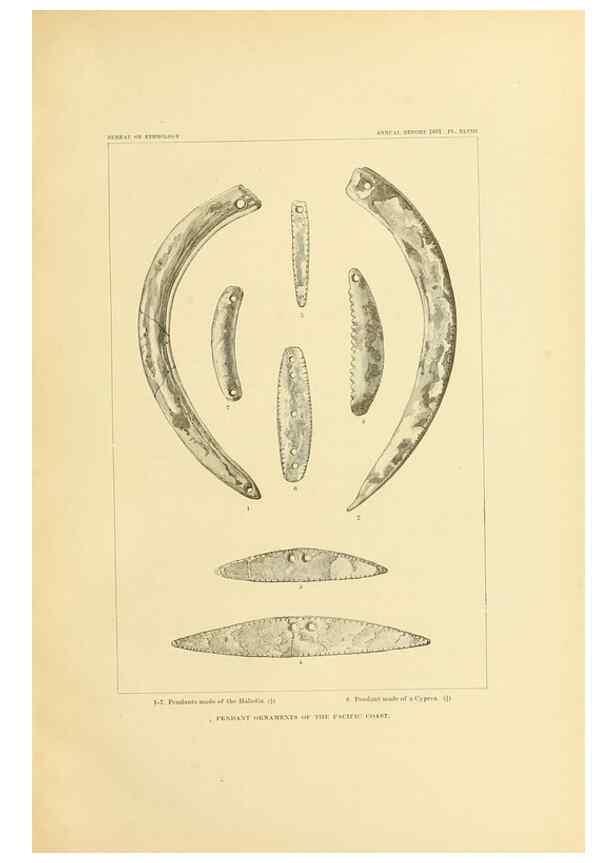 Reproducción/Reproduction 31164825466: Art in shell of the ancient Americans.. Washington,Govt. Print. Off.,1883.