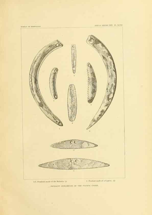 Reproducción/Reproduction 31164825466: Art in shell of the ancient Americans.. Washington,Govt. Print. Off.,1883.