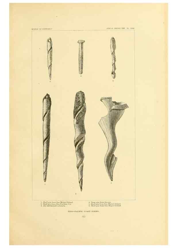 Reproducción/Reproduction 30379473874: Art in shell of the ancient Americans.. Washington,Govt. Print. Off.,1883.