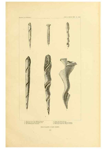 Reproducción/Reproduction 30379473874: Art in shell of the ancient Americans.. Washington,Govt. Print. Off.,1883.
