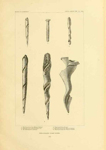 Reproducción/Reproduction 30379473874: Art in shell of the ancient Americans.. Washington,Govt. Print. Off.,1883.
