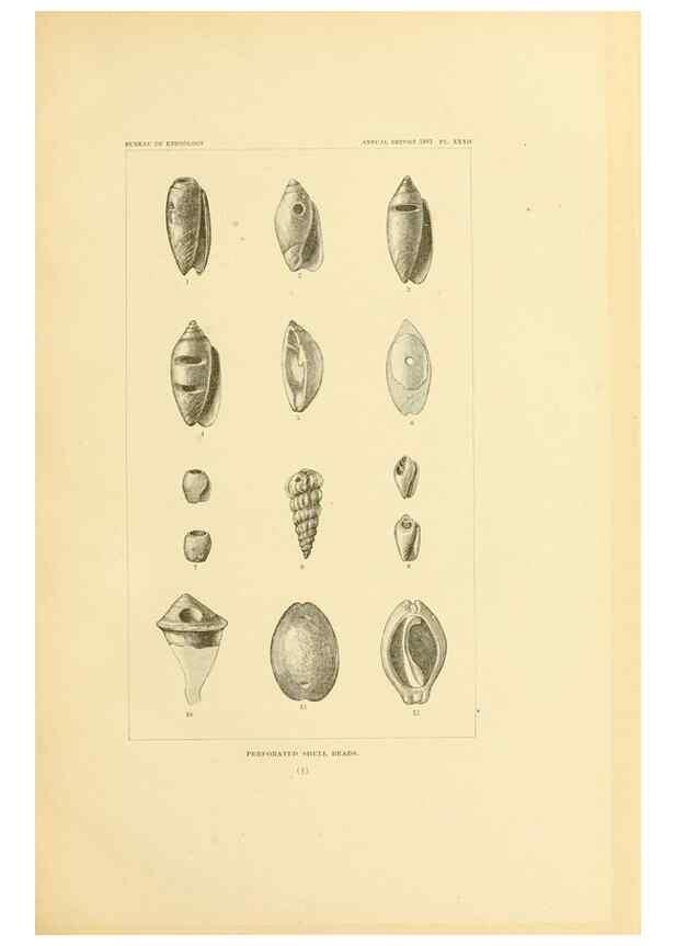 Reproducción/Reproduction 30379475554: Art in shell of the ancient Americans.. Washington,Govt. Print. Off.,1883.