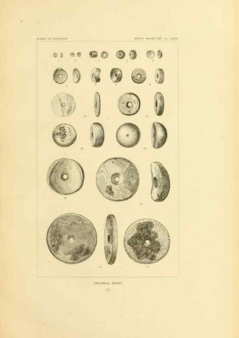 Reproducción/Reproduction 30379476954: Art in shell of the ancient Americans.. Washington,Govt. Print. Off.,1883.