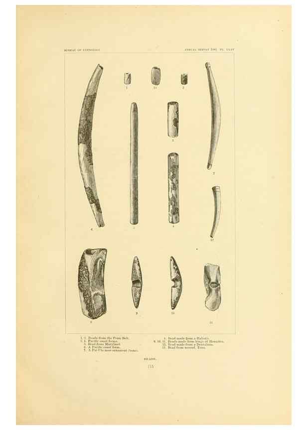 Reproducción/Reproduction 30379480054: Art in shell of the ancient Americans.. Washington,Govt. Print. Off.,1883.