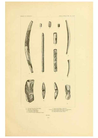 Reproducción/Reproduction 30379480054: Art in shell of the ancient Americans.. Washington,Govt. Print. Off.,1883.
