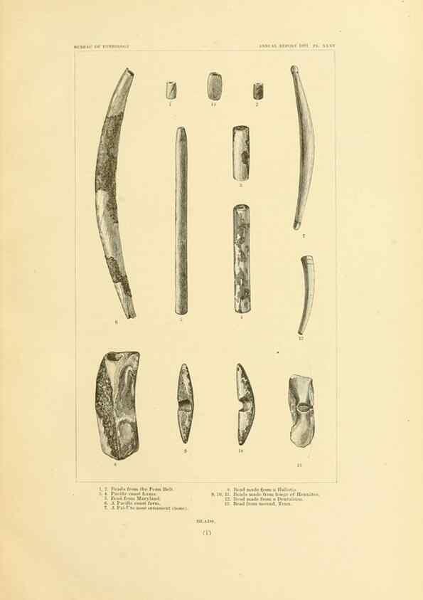 Reproducción/Reproduction 30379480054: Art in shell of the ancient Americans.. Washington,Govt. Print. Off.,1883.