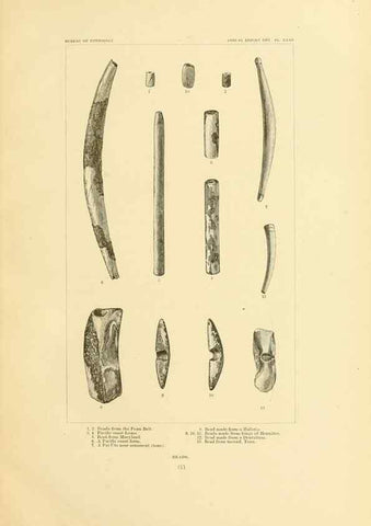 Reproducción/Reproduction 30379480054: Art in shell of the ancient Americans.. Washington,Govt. Print. Off.,1883.