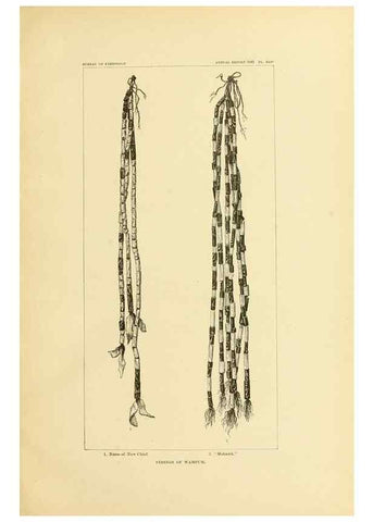 Reproducción/Reproduction 30379494984: Art in shell of the ancient Americans.. Washington,Govt. Print. Off.,1883.