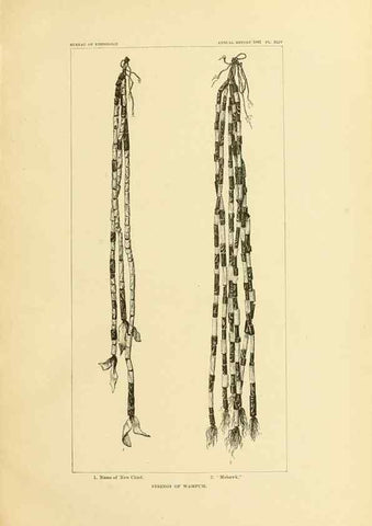 Reproducción/Reproduction 30379494984: Art in shell of the ancient Americans.. Washington,Govt. Print. Off.,1883.