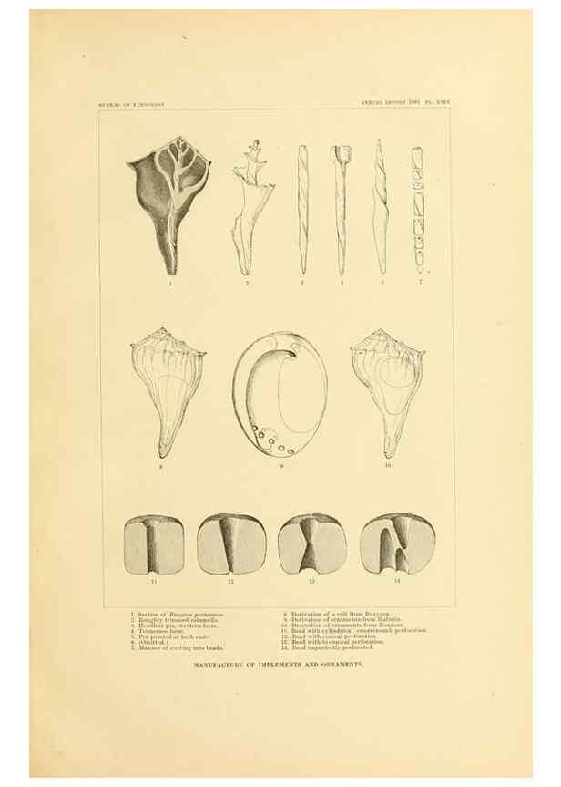 Reproducción/Reproduction 31086681511: Art in shell of the ancient Americans.. Washington,Govt. Print. Off.,1883.