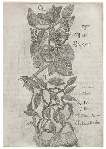 Reproducción/Reproduction 31626932566: Flora sinensis,. Viennae, Austriae,Typis M. Rictij,1656.