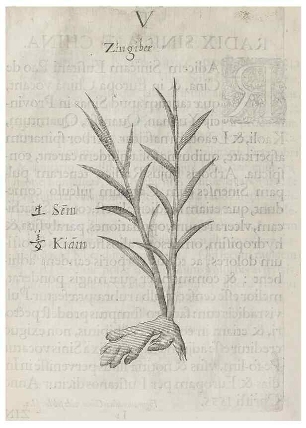 Reproducción/Reproduction 31291068070: Flora sinensis,. Viennae, Austriae,Typis M. Rictij,1656.