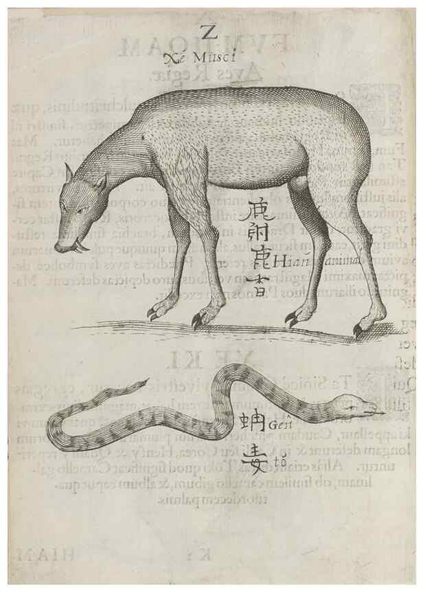 Reproducción/Reproduction 30853729303: Flora sinensis,. Viennae, Austriae,Typis M. Rictij,1656.