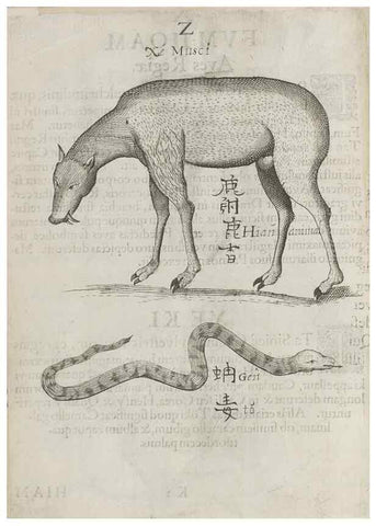 Reproducción/Reproduction 30853729303: Flora sinensis,. Viennae, Austriae,Typis M. Rictij,1656.
