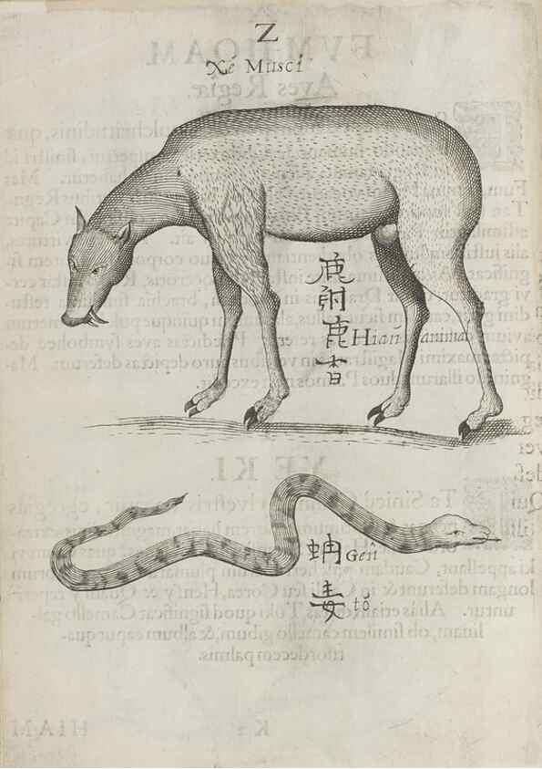 Reproducción/Reproduction 30853729303: Flora sinensis,. Viennae, Austriae,Typis M. Rictij,1656.