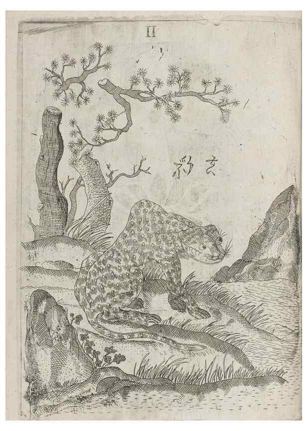 Reproducción/Reproduction 30853737203: Flora sinensis,. Viennae, Austriae,Typis M. Rictij,1656.