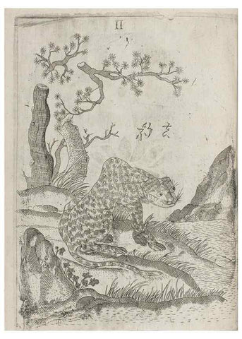 Reproducción/Reproduction 30853737203: Flora sinensis,. Viennae, Austriae,Typis M. Rictij,1656.
