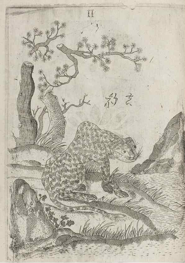 Reproducción/Reproduction 30853737203: Flora sinensis,. Viennae, Austriae,Typis M. Rictij,1656.