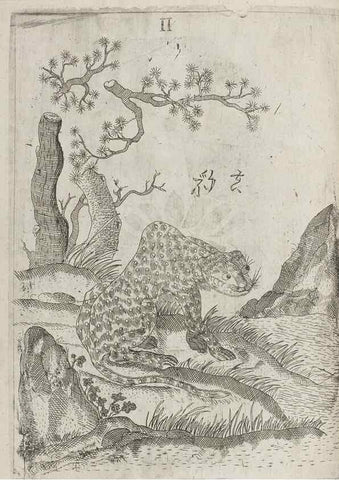 Reproducción/Reproduction 30853737203: Flora sinensis,. Viennae, Austriae,Typis M. Rictij,1656.