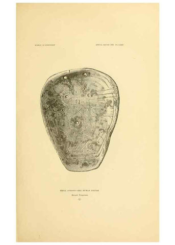 Reproducción/Reproduction 31086750531: Art in shell of the ancient Americans.. Washington,Govt. Print. Off.,1883.