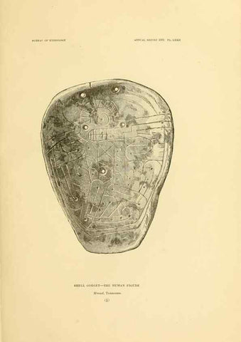 Reproducción/Reproduction 31086750531: Art in shell of the ancient Americans.. Washington,Govt. Print. Off.,1883.