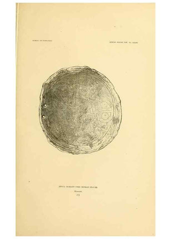 Reproducción/Reproduction 30379561784: Art in shell of the ancient Americans.. Washington,Govt. Print. Off.,1883.