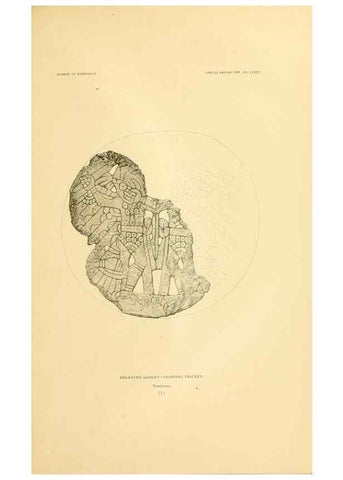 Reproducción/Reproduction 31200833715: Art in shell of the ancient Americans.. Washington,Govt. Print. Off.,1883.