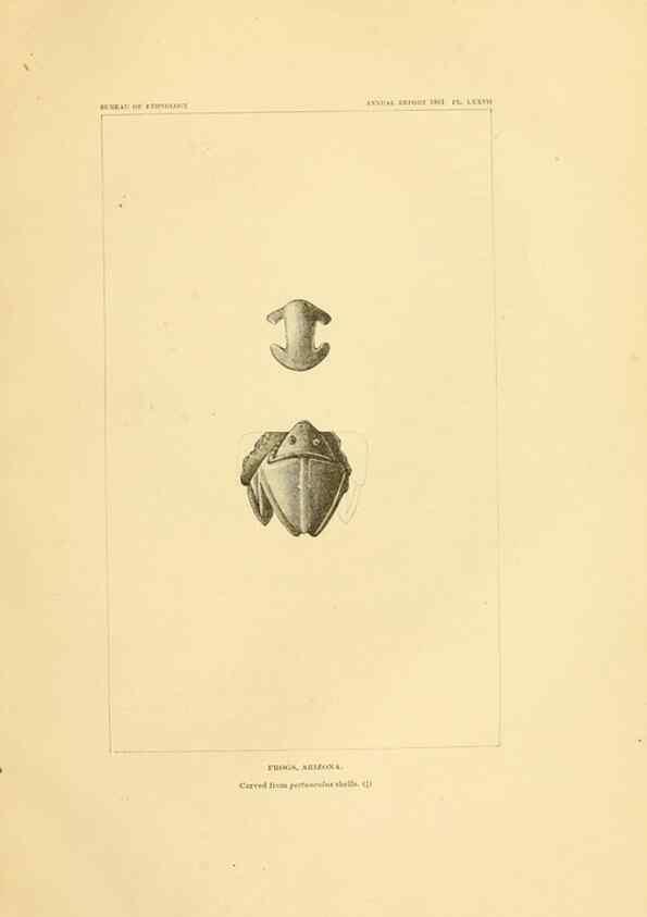 Reproducción/Reproduction 30379575984: Art in shell of the ancient Americans.. Washington,Govt. Print. Off.,1883.