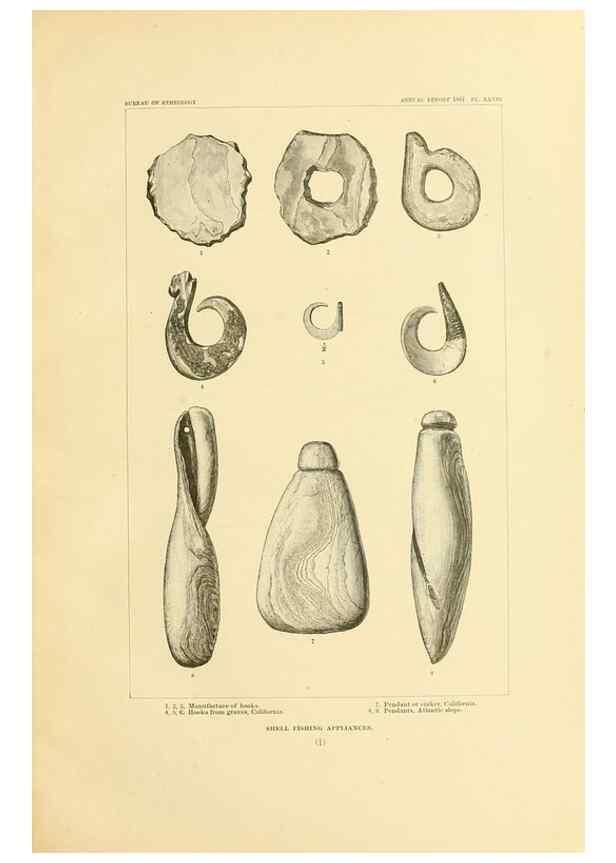 Reproducción/Reproduction 31200760805: Art in shell of the ancient Americans.. Washington,Govt. Print. Off.,1883.