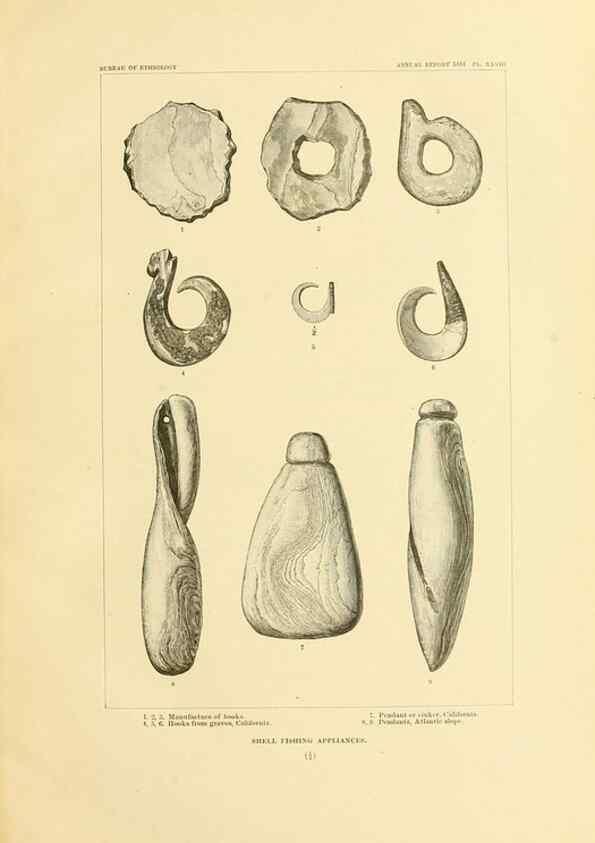 Reproducción/Reproduction 31200760805: Art in shell of the ancient Americans.. Washington,Govt. Print. Off.,1883.