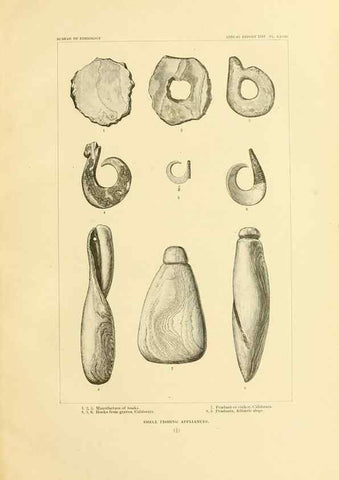 Reproducción/Reproduction 31200760805: Art in shell of the ancient Americans.. Washington,Govt. Print. Off.,1883.