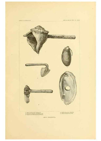 Reproducción/Reproduction 31086678541: Art in shell of the ancient Americans.. Washington,Govt. Print. Off.,1883.
