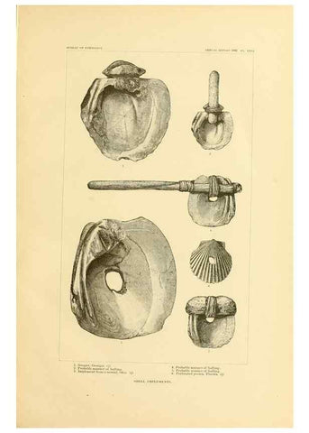 Reproducción/Reproduction 31057275182: Art in shell of the ancient Americans.. Washington,Govt. Print. Off.,1883.