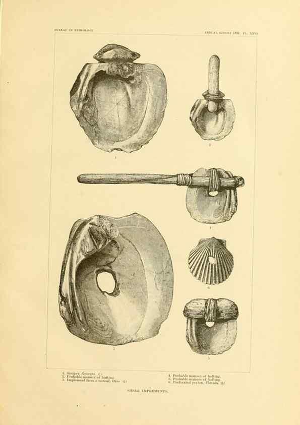 Reproducción/Reproduction 31057275182: Art in shell of the ancient Americans.. Washington,Govt. Print. Off.,1883.