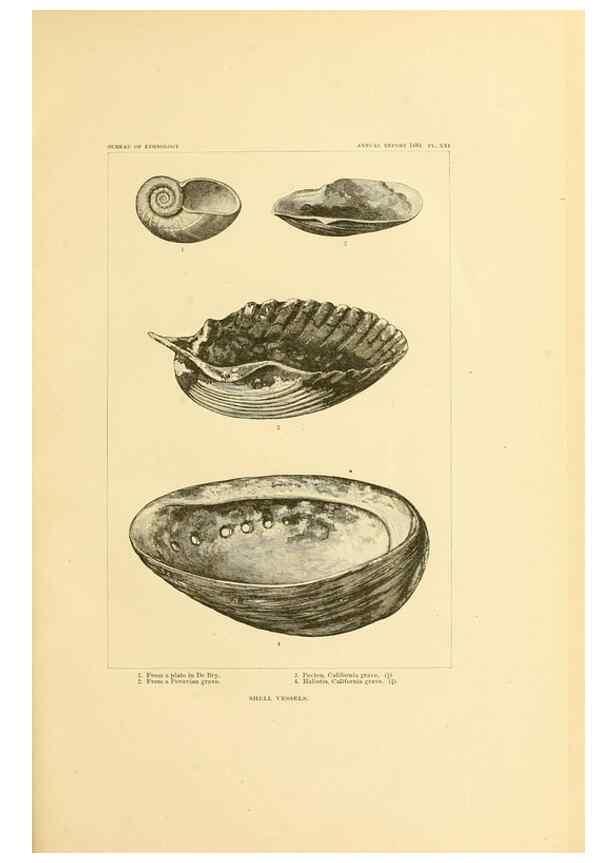 Reproducción/Reproduction 30393556873: Art in shell of the ancient Americans.. Washington,Govt. Print. Off.,1883.
