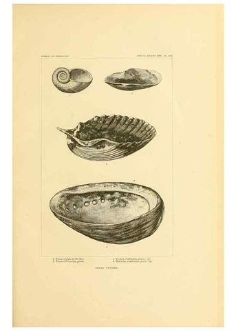 Reproducción/Reproduction 30393556873: Art in shell of the ancient Americans.. Washington,Govt. Print. Off.,1883.