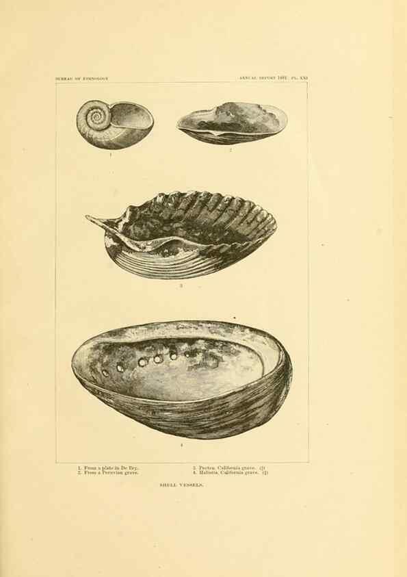 Reproducción/Reproduction 30393556873: Art in shell of the ancient Americans.. Washington,Govt. Print. Off.,1883.