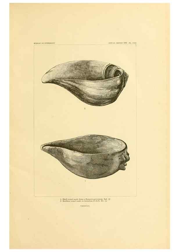 Reproducción/Reproduction 31164806666: Art in shell of the ancient Americans.. Washington,Govt. Print. Off.,1883.