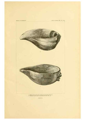 Reproducción/Reproduction 31164806666: Art in shell of the ancient Americans.. Washington,Govt. Print. Off.,1883.