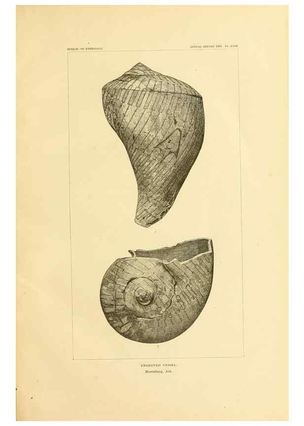 Reproducción/Reproduction 31057272412: Art in shell of the ancient Americans.. Washington,Govt. Print. Off.,1883.