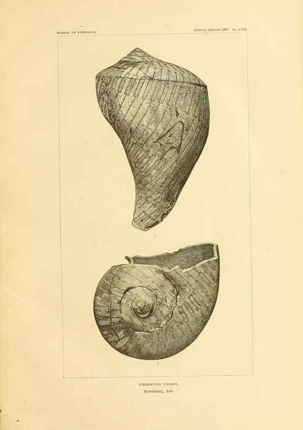 Reproducción/Reproduction 31057272412: Art in shell of the ancient Americans.. Washington,Govt. Print. Off.,1883.