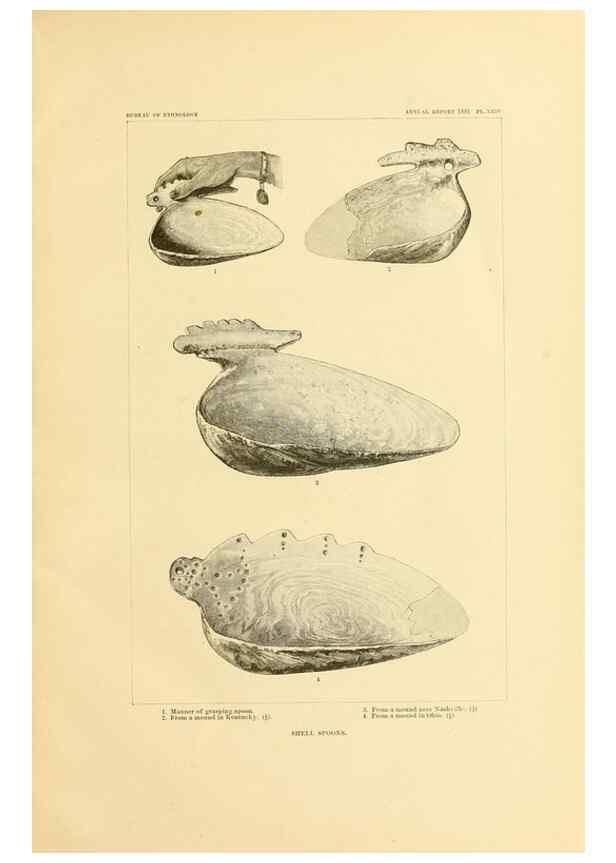 Reproducción/Reproduction 30833452370: Art in shell of the ancient Americans.. Washington,Govt. Print. Off.,1883.