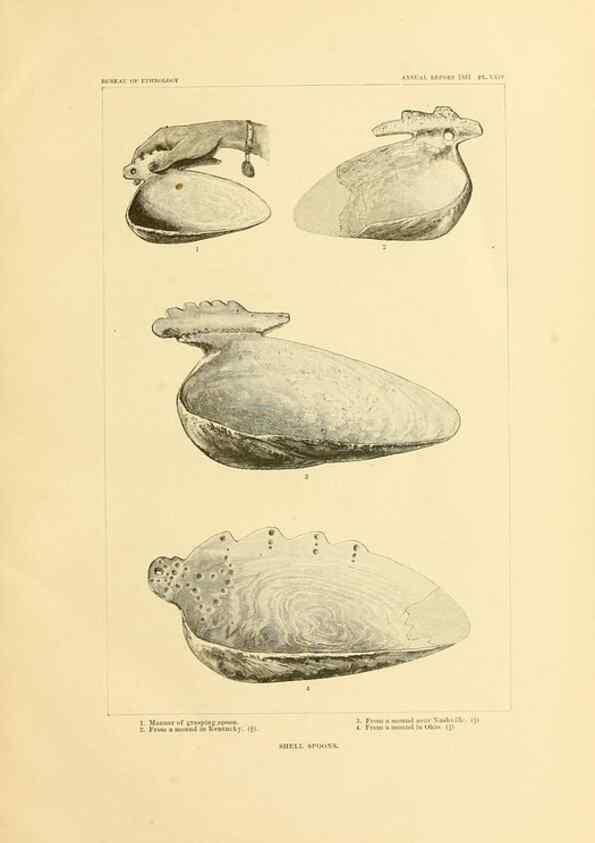 Reproducción/Reproduction 30833452370: Art in shell of the ancient Americans.. Washington,Govt. Print. Off.,1883.