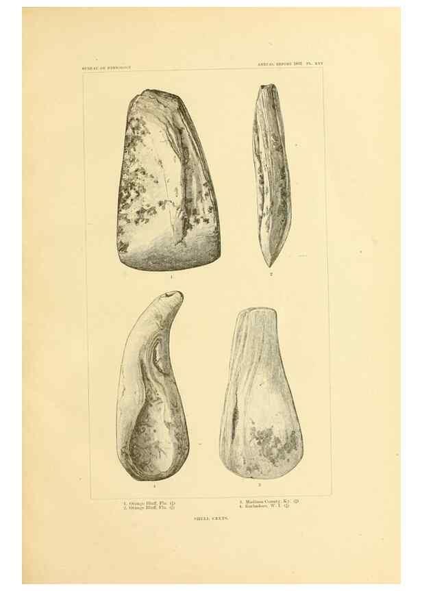 Reproducción/Reproduction 31057274262: Art in shell of the ancient Americans.. Washington,Govt. Print. Off.,1883.